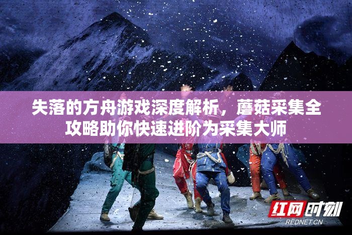失落的方舟游戏深度解析，蘑菇采集全攻略助你快速进阶为采集大师