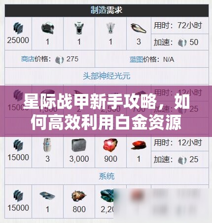 星际战甲新手攻略，如何高效利用白金资源，实现游戏价值最大化？