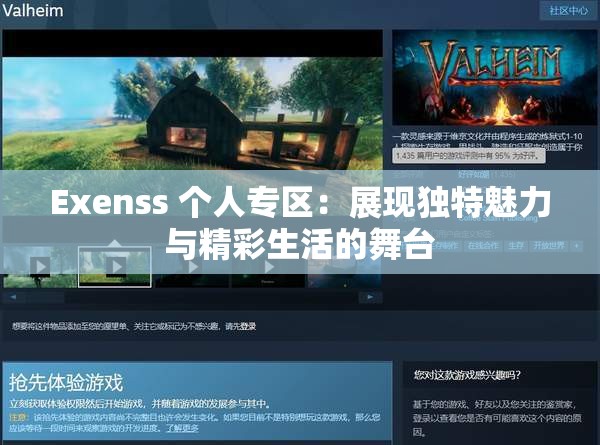 Exenss 个人专区：展现独特魅力与精彩生活的舞台