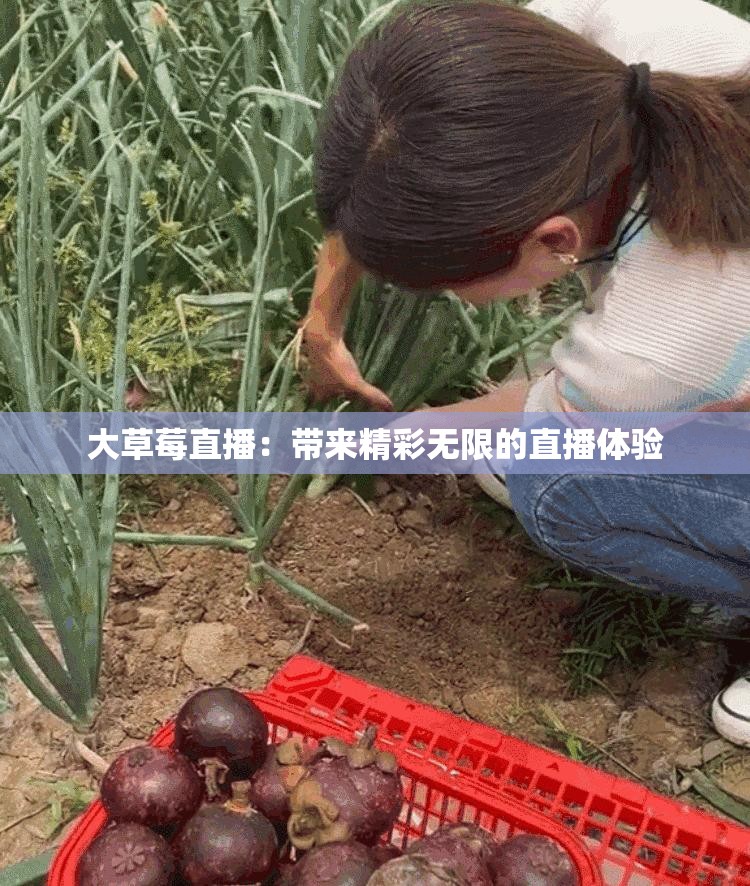 大草莓直播：带来精彩无限的直播体验
