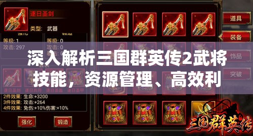 深入解析三国群英传2武将技能，资源管理、高效利用策略及避免技能浪费指南