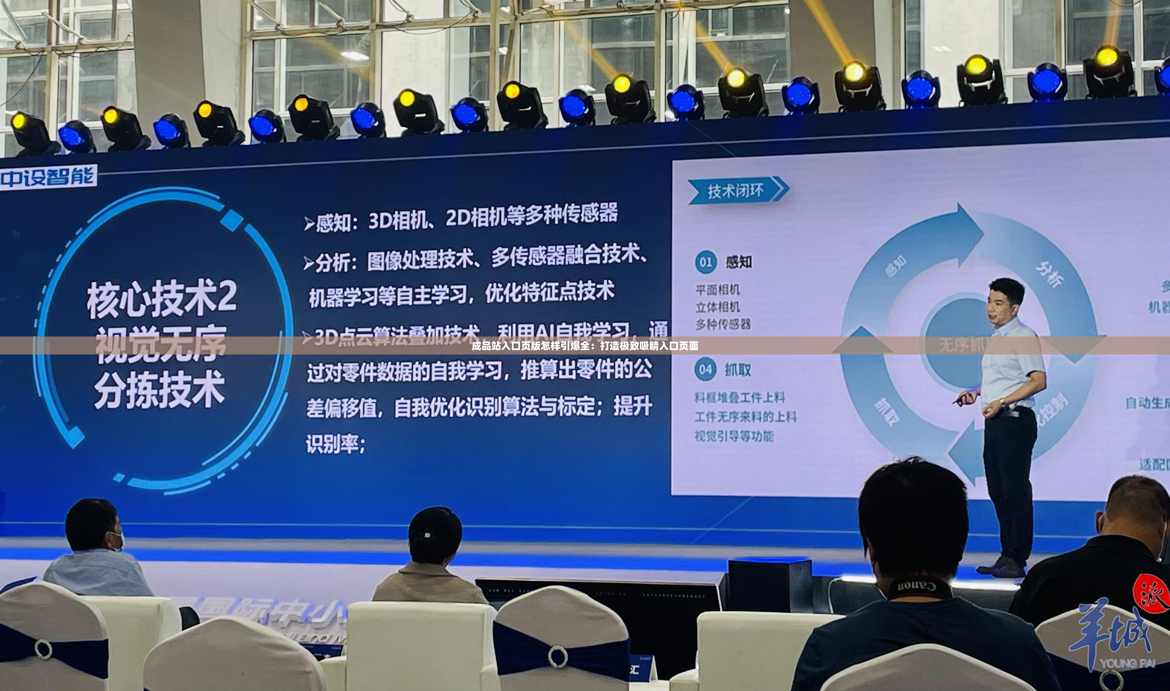 成品站入口页版怎样引爆全：打造极致吸睛入口页面