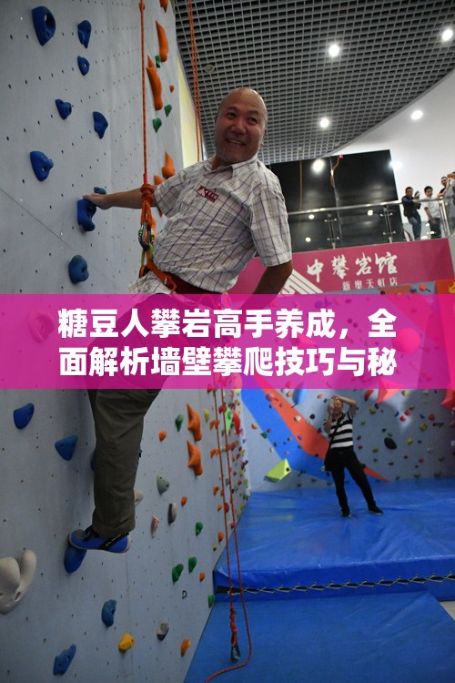糖豆人攀岩高手养成，全面解析墙壁攀爬技巧与秘籍