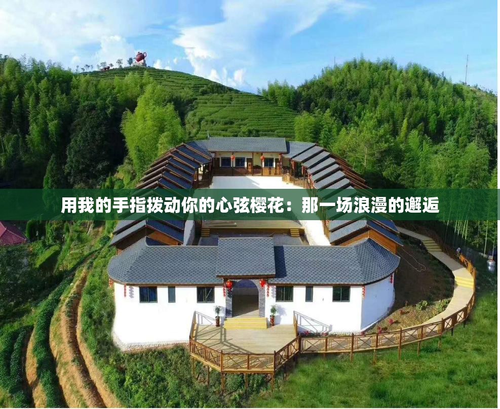 用我的手指拨动你的心弦樱花：那一场浪漫的邂逅