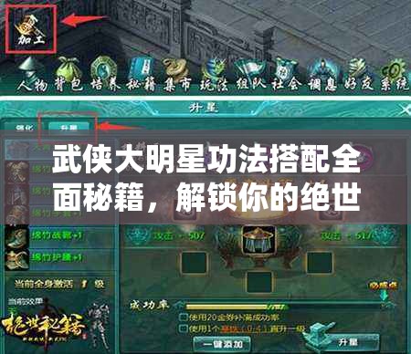 武侠大明星功法搭配全面秘籍，解锁你的绝世高手成长之路