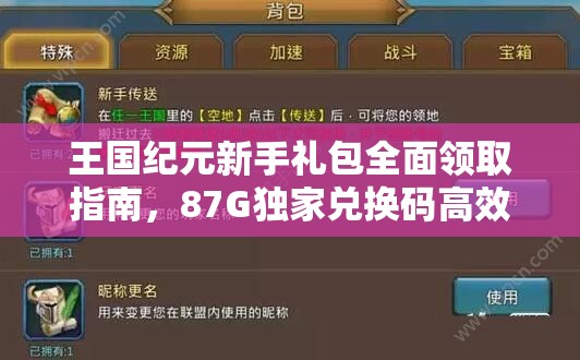 王国纪元新手礼包全面领取指南，87G独家兑换码高效管理与使用实战策略