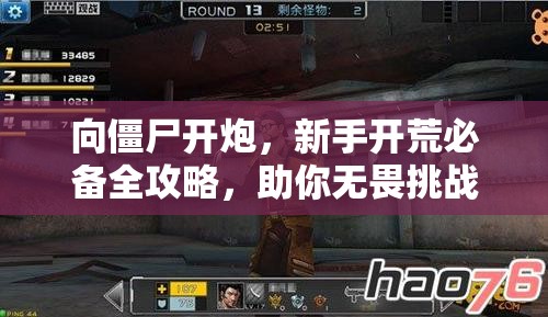 向僵尸开炮，新手开荒必备全攻略，助你无畏挑战，勇闯刺激末日世界