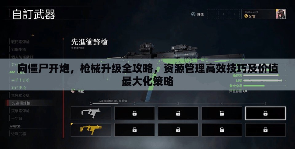 向僵尸开炮，枪械升级全攻略，资源管理高效技巧及价值最大化策略