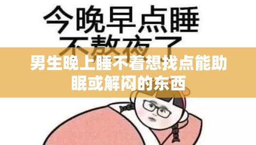 男生晚上睡不着想找点能助眠或解闷的东西