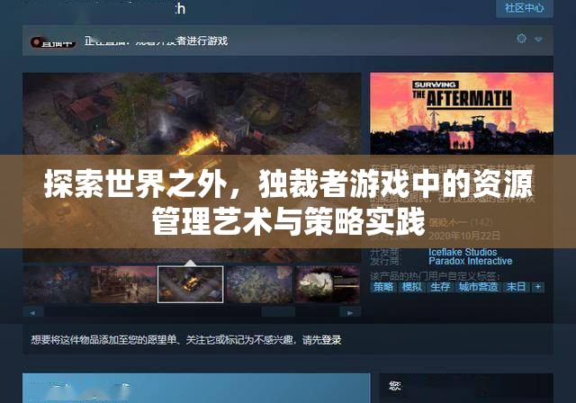 探索世界之外，独裁者游戏中的资源管理艺术与策略实践