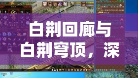 白荆回廊与白荆穹顶，深入探索其独特玩法与机制的全面解析