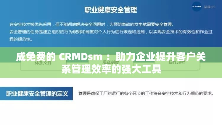 成免费的 CRMDsm ：助力企业提升客户关系管理效率的强大工具