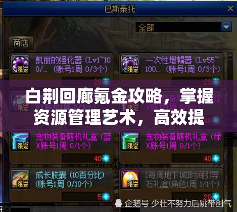 白荆回廊氪金攻略，掌握资源管理艺术，高效提升游戏体验
