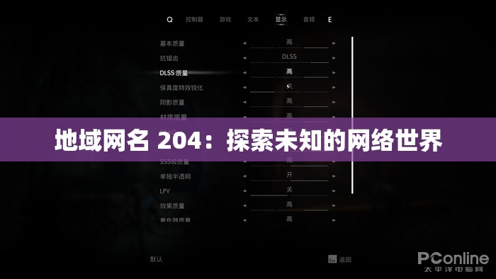 地域网名 204：探索未知的网络世界