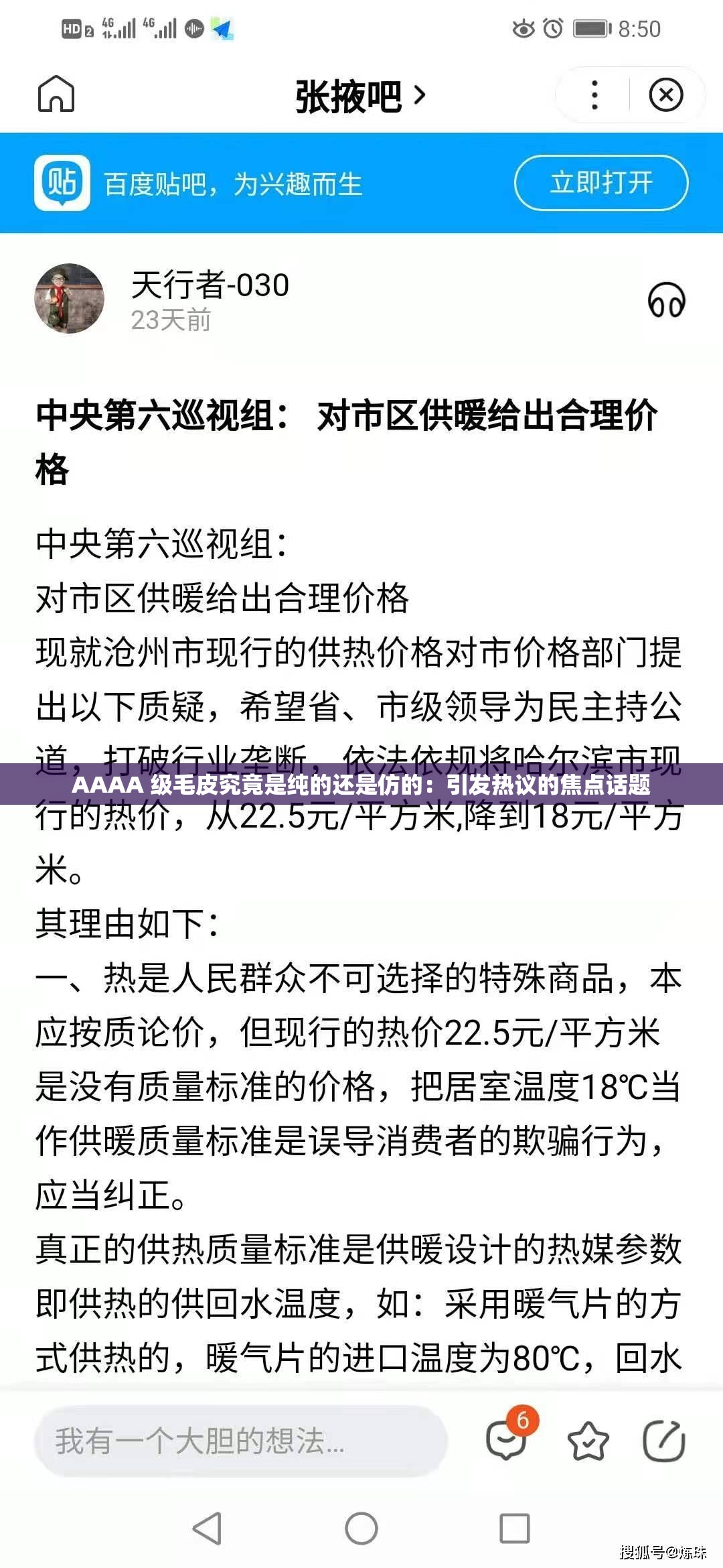 AAAA 级毛皮究竟是纯的还是仿的：引发热议的焦点话题