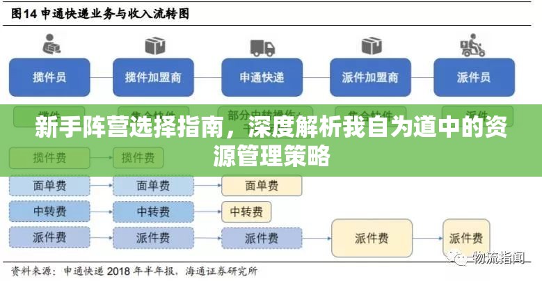新手阵营选择指南，深度解析我自为道中的资源管理策略
