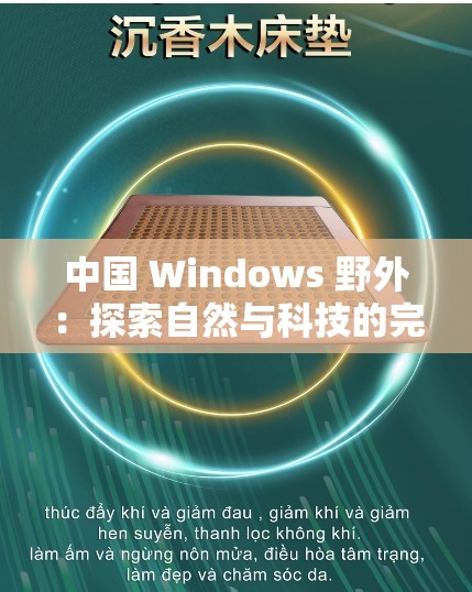 中国 Windows 野外：探索自然与科技的完美融合