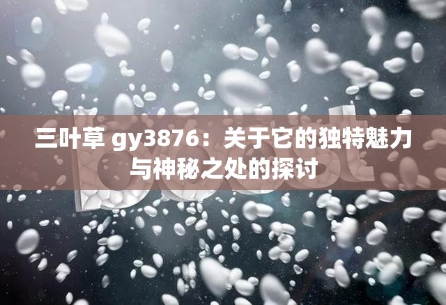三叶草 gy3876：关于它的独特魅力与神秘之处的探讨