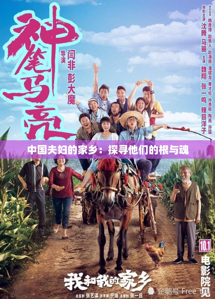 中国夫妇的家乡：探寻他们的根与魂