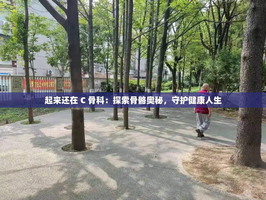 起来还在 C 骨科：探索骨骼奥秘，守护健康人生