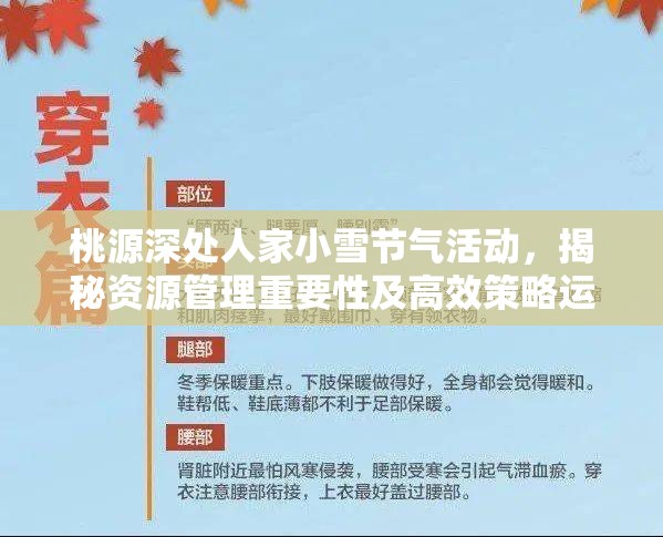 桃源深处人家小雪节气活动，揭秘资源管理重要性及高效策略运用