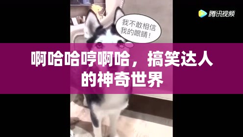 啊哈哈哼啊哈，搞笑达人的神奇世界