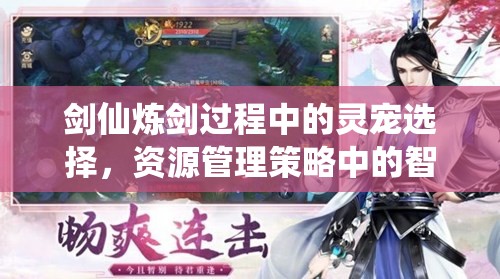 剑仙炼剑过程中的灵宠选择，资源管理策略中的智慧运用与实践探索