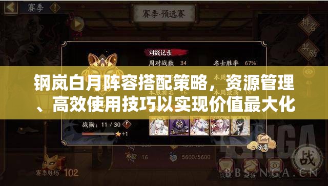 钢岚白月阵容搭配策略，资源管理、高效使用技巧以实现价值最大化