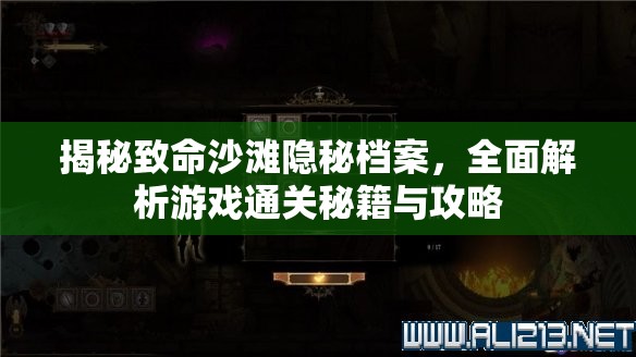 揭秘致命沙滩隐秘档案，全面解析游戏通关秘籍与攻略