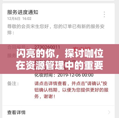 闪亮的你，探讨咖位在资源管理中的重要性及有效提升策略