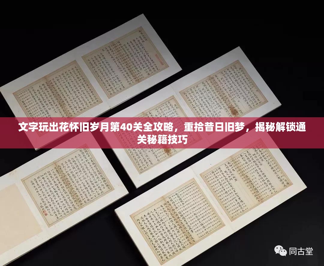 文字玩出花怀旧岁月第40关全攻略，重拾昔日旧梦，揭秘解锁通关秘籍技巧