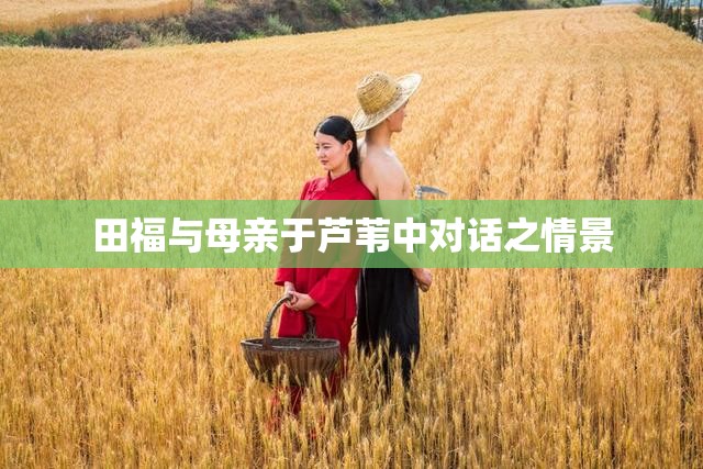 田福与母亲于芦苇中对话之情景