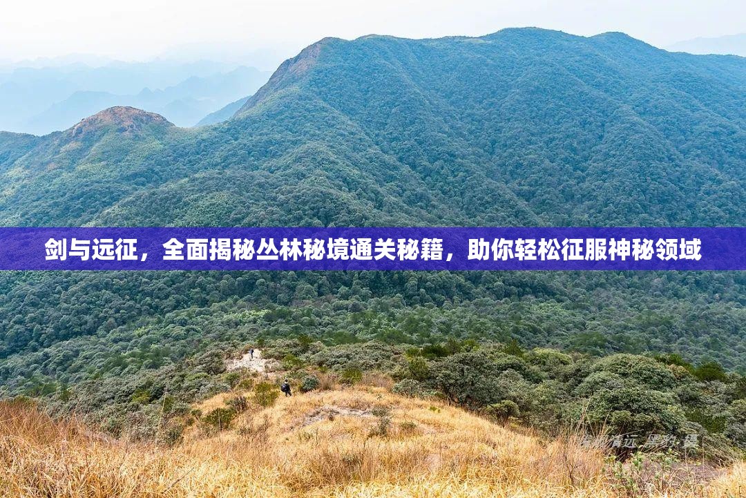 剑与远征，全面揭秘丛林秘境通关秘籍，助你轻松征服神秘领域