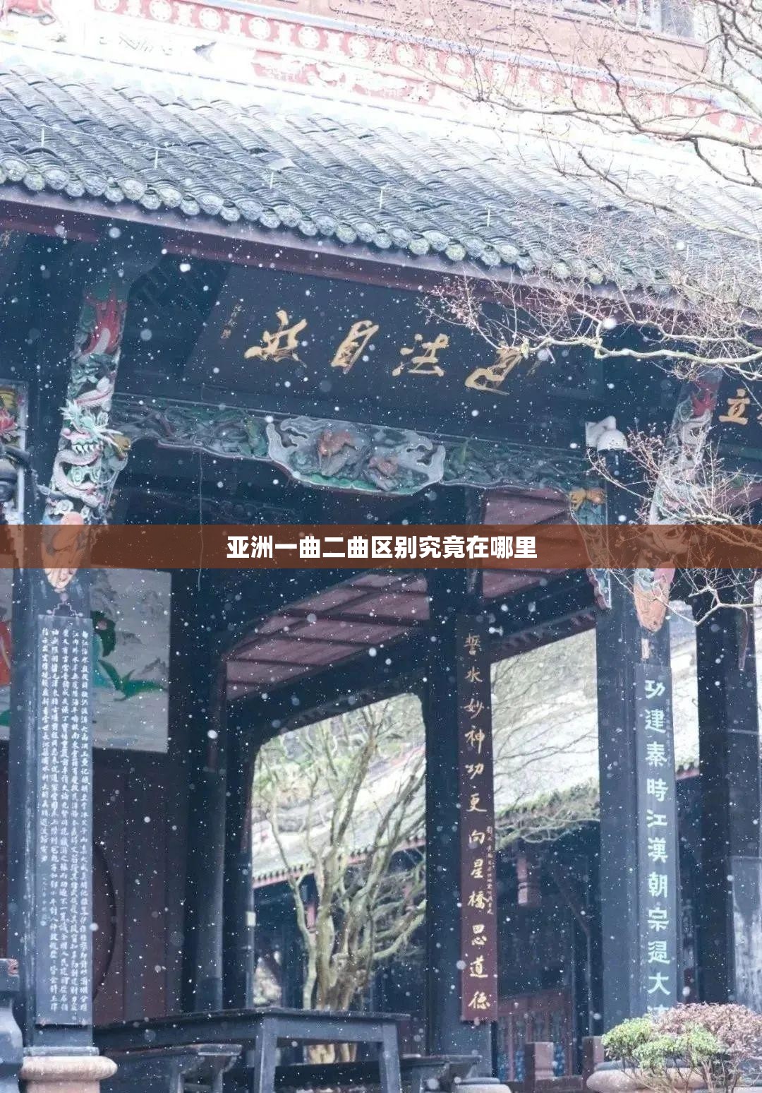 亚洲一曲二曲区别究竟在哪里