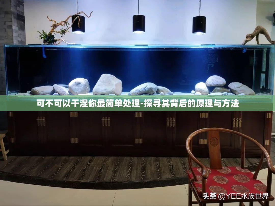 可不可以干湿你最简单处理-探寻其背后的原理与方法