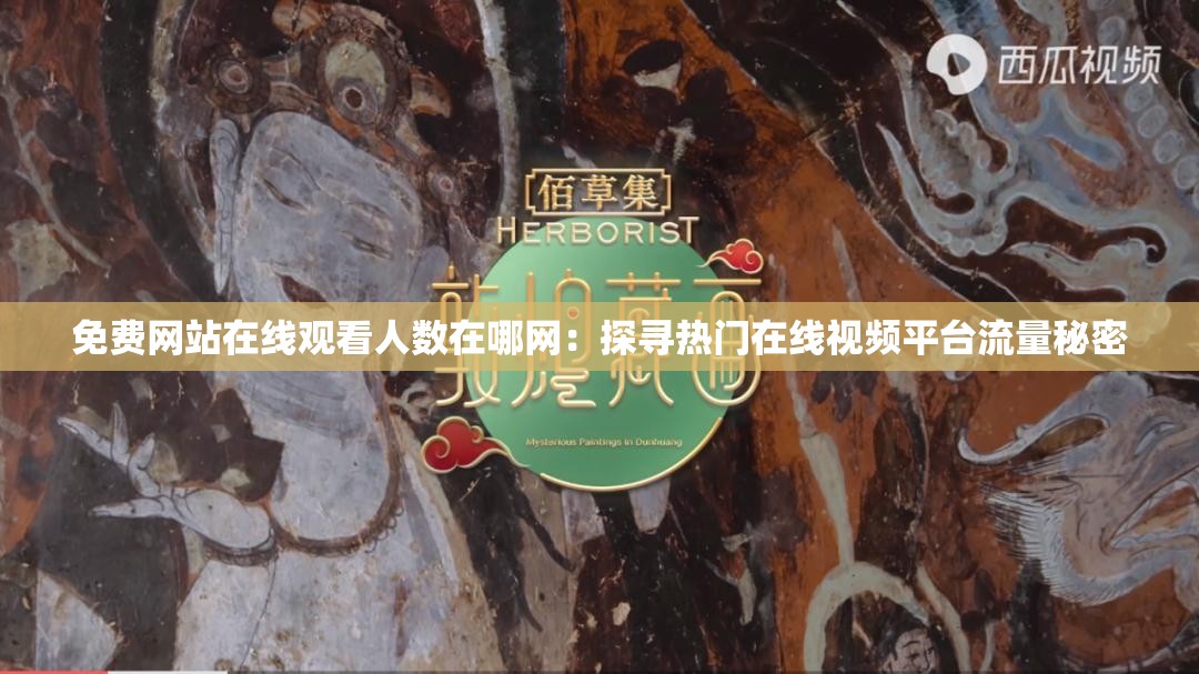 免费网站在线观看人数在哪网：探寻热门在线视频平台流量秘密