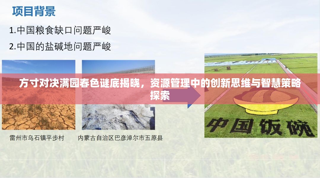 方寸对决满园春色谜底揭晓，资源管理中的创新思维与智慧策略探索
