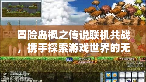 冒险岛枫之传说联机共战，携手探索游戏世界的无限可能与精彩