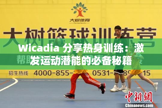 Wicadia 分享热身训练：激发运动潜能的必备秘籍