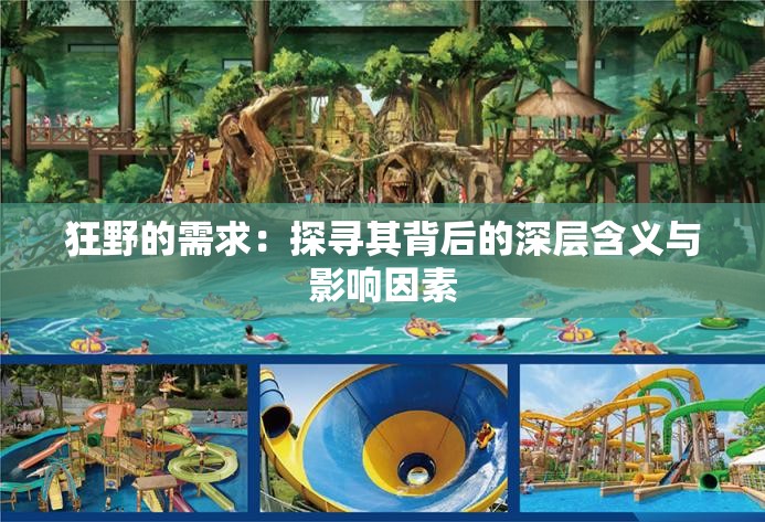 狂野的需求：探寻其背后的深层含义与影响因素