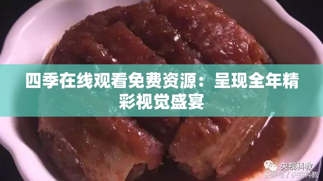 四季在线观看免费资源：呈现全年精彩视觉盛宴