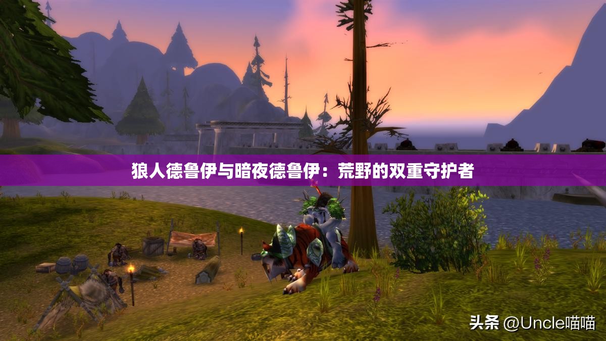 狼人德鲁伊与暗夜德鲁伊：荒野的双重守护者