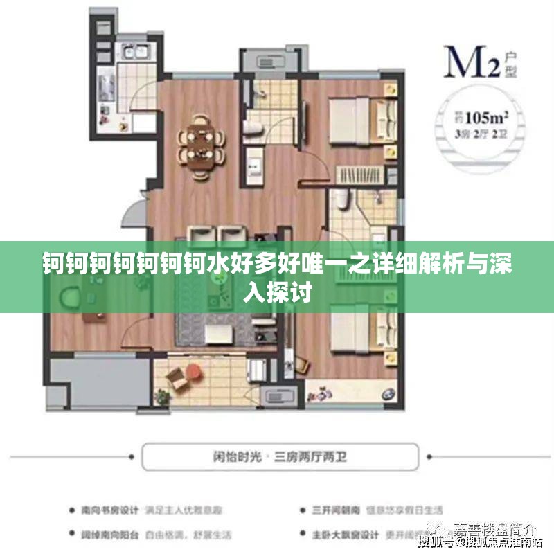 钶钶钶钶钶钶钶水好多好唯一之详细解析与深入探讨