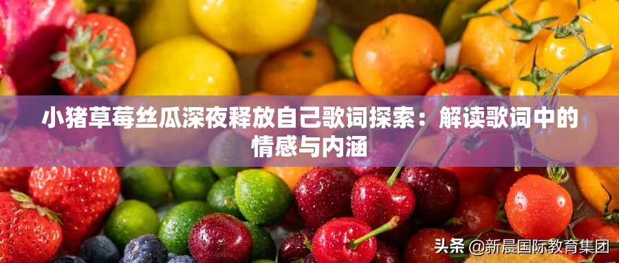 小猪草莓丝瓜深夜释放自己歌词探索：解读歌词中的情感与内涵