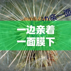 一边亲着一面膜下奶韩剧终被网友发现：网友纷纷表示辣眼睛