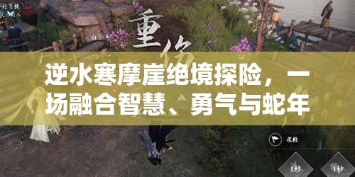 逆水寒摩崖绝境探险，一场融合智慧、勇气与蛇年春节氛围的奇妙之旅