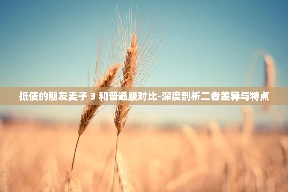 抵债的朋友麦子 3 和普通版对比-深度剖析二者差异与特点
