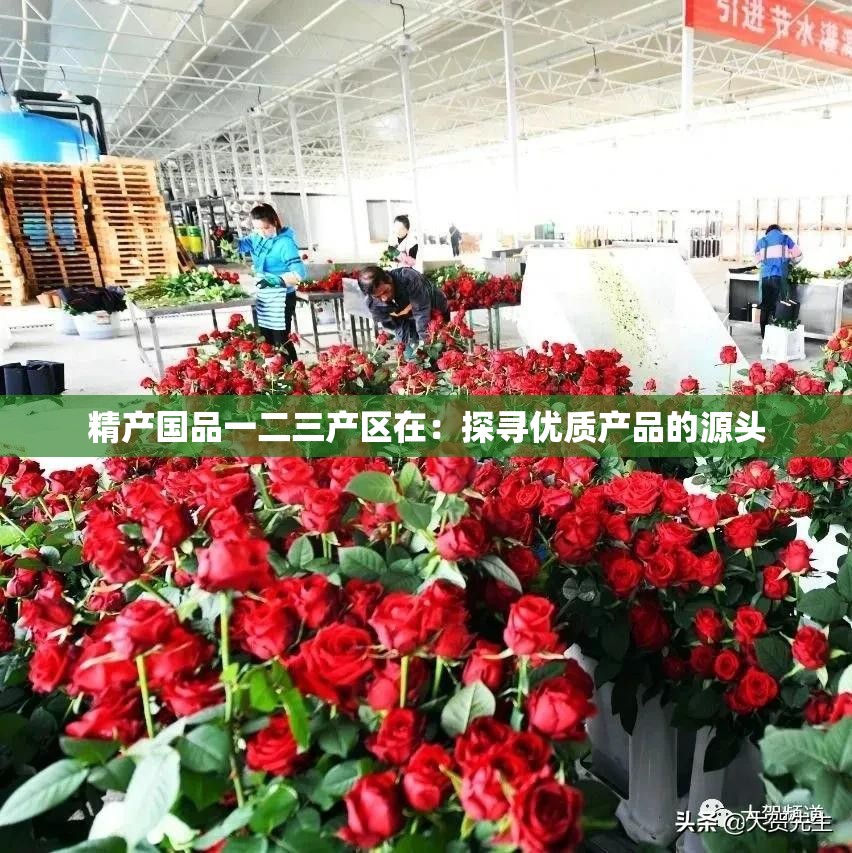 精产国品一二三产区在：探寻优质产品的源头