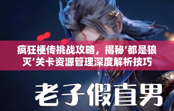 疯狂梗传挑战攻略，揭秘‘都是狼灭’关卡资源管理深度解析技巧