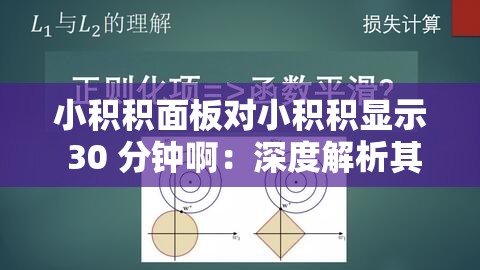 小积积面板对小积积显示 30 分钟啊：深度解析其背后的意义与影响